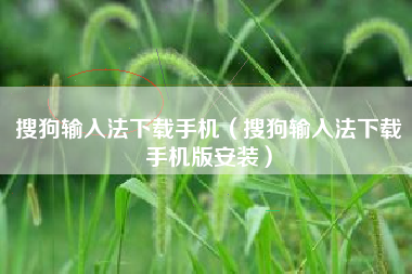搜狗输入法下载手机（搜狗输入法下载手机版安装）