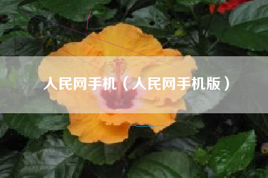 人民网手机（人民网手机版）
