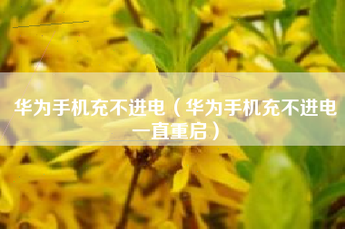 华为手机充不进电（华为手机充不进电一直重启）