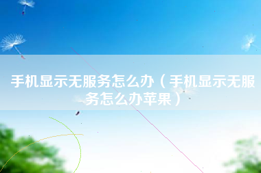 手机显示无服务怎么办（手机显示无服务怎么办苹果）