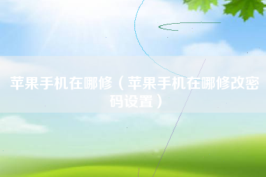 苹果手机在哪修（苹果手机在哪修改密码设置）