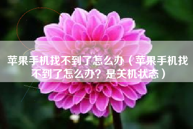 苹果手机找不到了怎么办（苹果手机找不到了怎么办？是关机状态）