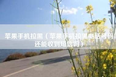 苹果手机拉黑（苹果手机拉黑电话号码还能收到短信吗）