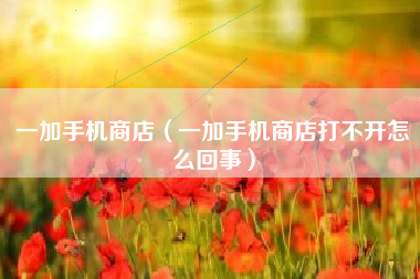一加手机商店（一加手机商店打不开怎么回事）
