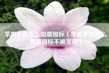 苹果手机怎么隐藏图标（苹果手机怎么隐藏图标不被发现）
