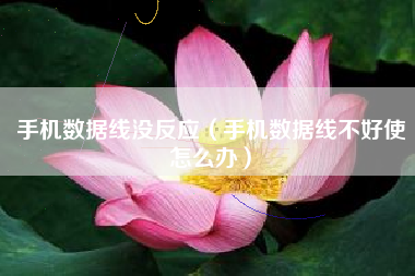 手机数据线没反应（手机数据线不好使怎么办）