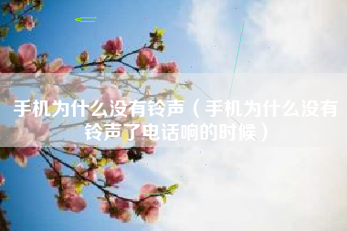 手机为什么没有铃声（手机为什么没有铃声了电话响的时候）