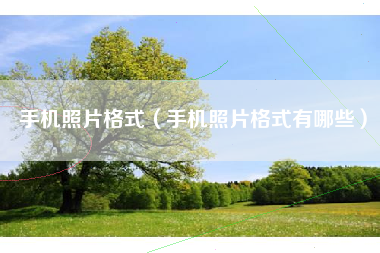 手机照片格式（手机照片格式有哪些）