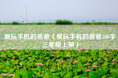 爱玩手机的爸爸（爱玩手机的爸爸300字三年级上册）