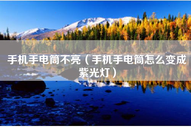 手机手电筒不亮（手机手电筒怎么变成紫光灯）