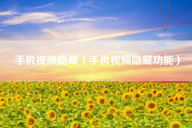 手机视频隐藏（手机视频隐藏功能）