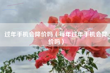 过年手机会降价吗（每年过年手机会降价吗）