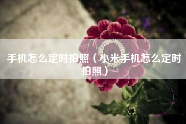 手机怎么定时拍照（小米手机怎么定时拍照）
