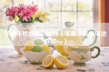 苹果手机换电池教程（苹果手机换电池教程6sp）