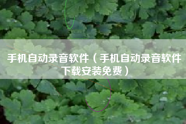 手机自动录音软件（手机自动录音软件下载安装免费）