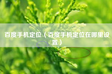 百度手机定位（百度手机定位在哪里设置）