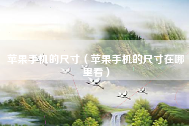 苹果手机的尺寸（苹果手机的尺寸在哪里看）