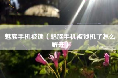 魅族手机被锁（魅族手机被锁机了怎么解开）