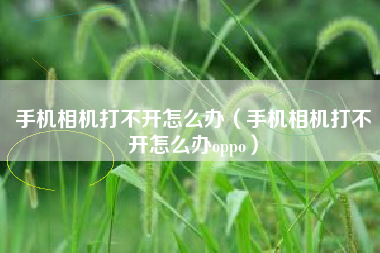 手机相机打不开怎么办（手机相机打不开怎么办oppo）
