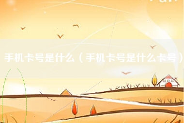 手机卡号是什么（手机卡号是什么卡号）