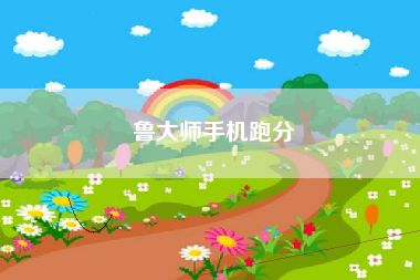 鲁大师手机跑分