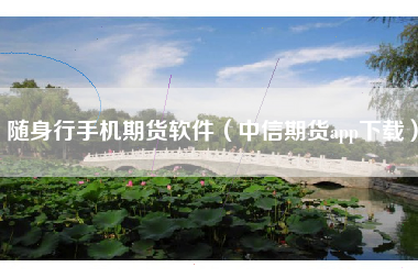 随身行手机期货软件（中信期货app下载）