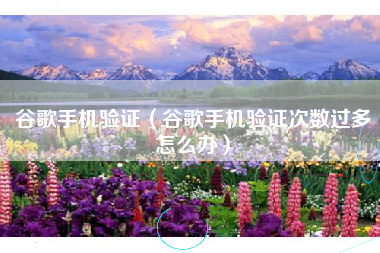 谷歌手机验证（谷歌手机验证次数过多怎么办）