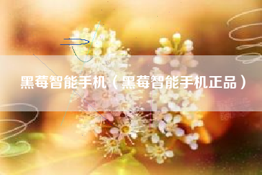 黑莓智能手机（黑莓智能手机正品）