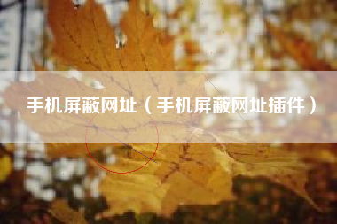 手机屏蔽网址（手机屏蔽网址插件）