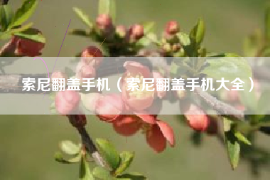 索尼翻盖手机（索尼翻盖手机大全）
