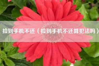 捡到手机不还（捡到手机不还算犯法吗）