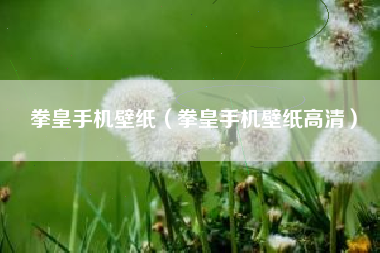 拳皇手机壁纸（拳皇手机壁纸高清）
