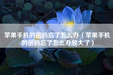 苹果手机的密码忘了怎么办（苹果手机的密码忘了怎么办放大了）
