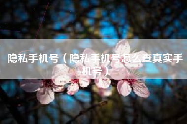 隐私手机号（隐私手机号怎么查真实手机号）