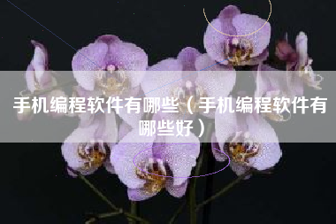 手机编程软件有哪些（手机编程软件有哪些好）