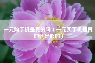 一元购手机是真的吗（一元买手机是真的还是假的）