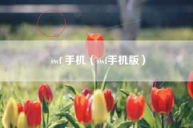 swf 手机（swf手机版）