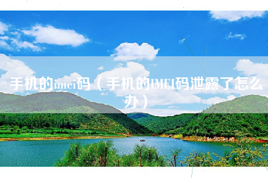 手机的imei码（手机的IMEI码泄露了怎么办）