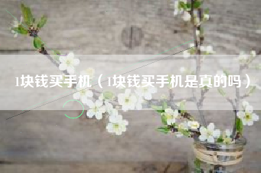1块钱买手机（1块钱买手机是真的吗）