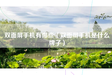 双面屏手机有哪些（双面屏手机是什么牌子）