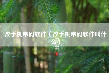 改手机串码软件（改手机串码软件叫什么）
