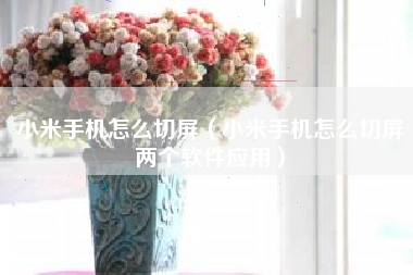 小米手机怎么切屏（小米手机怎么切屏两个软件应用）