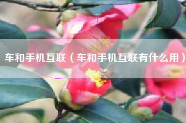 车和手机互联（车和手机互联有什么用）