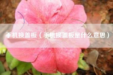 手机换盖板（手机换盖板是什么意思）