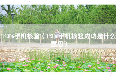 12306手机核验（12306手机核验成功是什么意思）