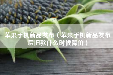 苹果手机新品发布（苹果手机新品发布后旧款什么时候降价）