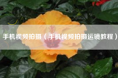 手机视频拍摄（手机视频拍摄运镜教程）