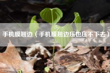手机膜翘边（手机膜翘边压也压不下去）