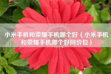 小米手机和荣耀手机哪个好（小米手机和荣耀手机哪个好同价位）