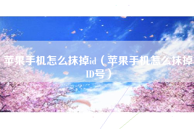 苹果手机怎么抹掉id（苹果手机怎么抹掉ID号）